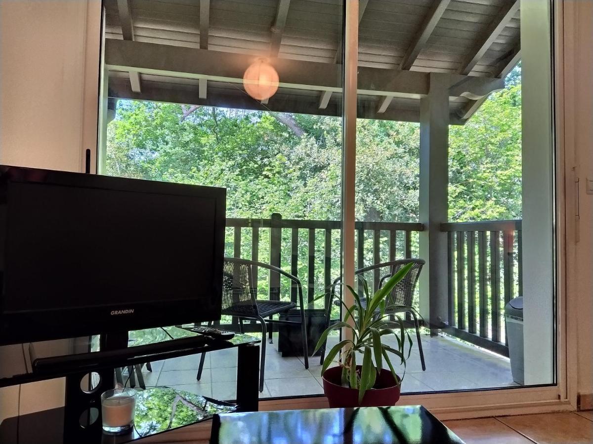 Goxo Lekua Apartment Boucau